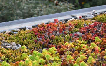 the cost of Didmarton green roof installation