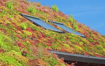 Didmarton living roof systems